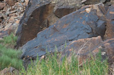 Almaty, Kazakistan - 06.25.2013: Altyn Emel Doğa Koruma Alanındaki bir taş üzerinde antik bir kaya resmi.