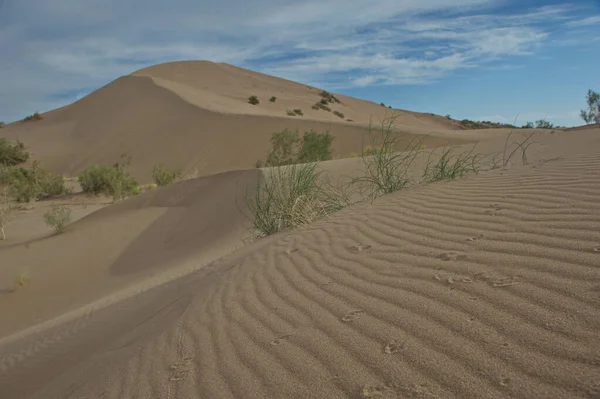 Almaty Kasachstan 2013 Singende Düne Ein Sandberg Altyn Emel Naturpark — Stockfoto