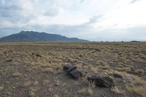 Almaty, Kazakistan - 06.25.2013: Eski Tepe - Altyn Emel Doğa Koruma Alanı 'ndaki antik bir mezarlık