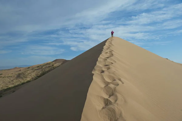 哈萨克斯坦阿拉木图 2013年6月25日 一名男子在阿尔丁艾美尔自然保护区的一座沙丘 一座歌唱的沙丘的斜坡上行走 — 图库照片