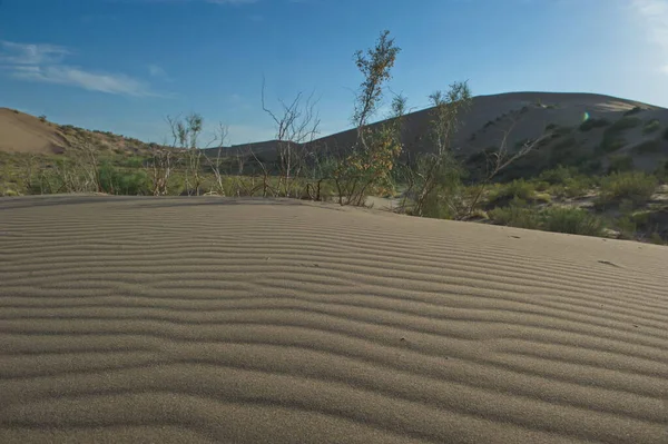 Almaty Kazachstan 2013 Relief Sand Dune Altyn Emel Nature Reserve — Zdjęcie stockowe