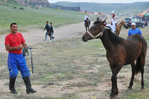 Almaty Kazajstán 2013 Hombre Sostiene Caballo Por Correa Eco Festival — Foto de Stock