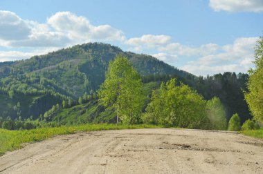 Ridder, Kazakistan - 06.05.2013: Ağaçlar, çalılar ve çeşitli çim türleriyle dağlık ve tepe boyunca uzanan bir yol.