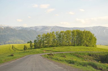 Ridder, Kazakistan - 06.05.2013: Ağaçlar, çalılar ve çeşitli çim türleriyle dağlık ve tepe boyunca uzanan bir yol.
