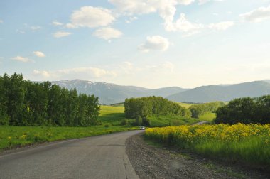 Ridder, Kazakistan - 06.05.2013: Ağaçlar, çalılar ve çeşitli çim türleriyle dağlık ve tepe boyunca uzanan bir yol.