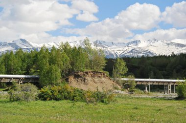 Ridder, Kazakistan - 06.05.2013: Isıtma borusu orman kuşağından geçiyor