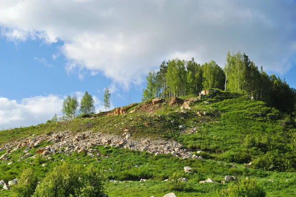 Ridder Kazakhstan 2013 Trees Shrubs Various Grasses Grow Hills Mountainous — Stock Photo, Image