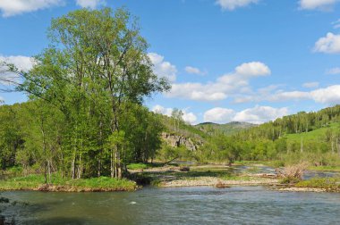 Ridder, Kazakistan - 06.05.2013: Dağlık ve tepe boyunca farklı bitki örtüsü ile akan Irtysh Nehri.