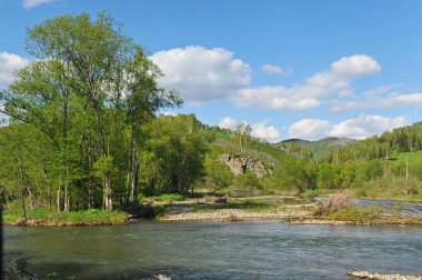Ridder, Kazakistan - 06.05.2013: Dağlık ve tepe boyunca farklı bitki örtüsü ile akan Irtysh Nehri.