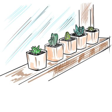 Kaktüs ve tencerelerde çeşitli sulu, açık renklerde boyanmış. Dijital illüstrasyon.