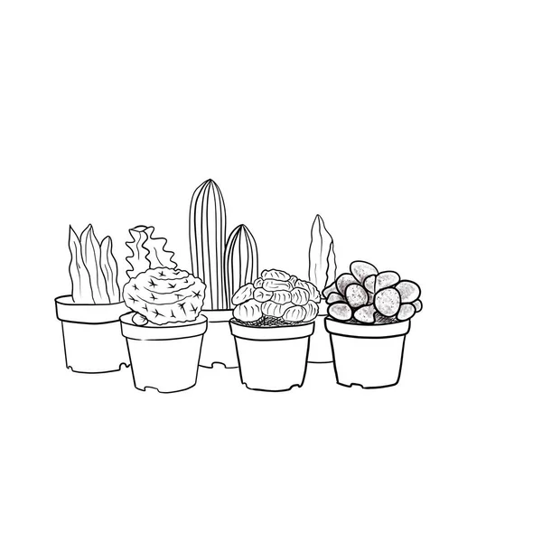 Cactus Suculentas Diferentes Tipos Dibujo Macetas Boceto Ilustración Digital — Foto de Stock