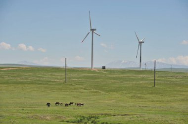 Zhambyl bölgesi, Kazakistan - 05.15.2013: Enerji toplamak için açık bir yamaçta bulunan rüzgar türbinleri.