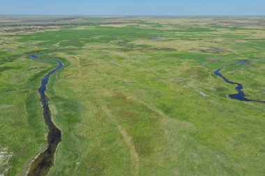 Zhambyl bölgesi, Kazakistan - 05.17. 2013: Nehir yatağı ve otlayan hayvanlar için farklı bitki örtüsü olan açık bir vadi