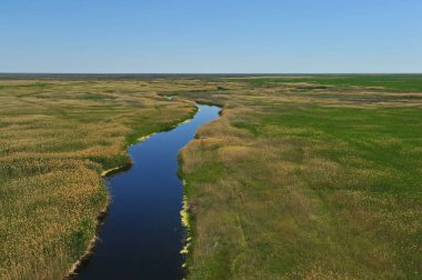 Zhambyl bölgesi, Kazakistan - 05.17. 2013: Nehir yatağı ve otlayan hayvanlar için farklı bitki örtüsü olan açık bir vadi