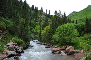 Turgen Nehri, Almaty yakınlarındaki dağlık bir bölgede toprak boyunca akar.