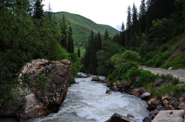 Turgen Nehri, Almaty yakınlarındaki dağlık bir bölgede toprak boyunca akar.