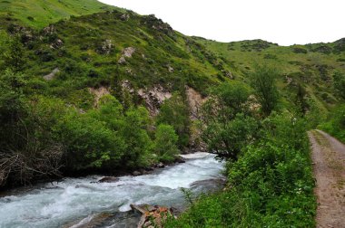 Turgen Nehri, Almaty yakınlarındaki dağlık bir bölgede toprak boyunca akar.