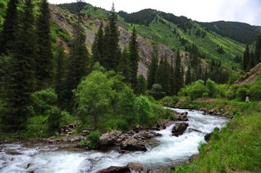 Turgen Nehri, Almaty yakınlarındaki dağlık bir bölgede toprak boyunca akar.