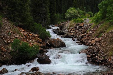 Turgen Nehri, Almaty yakınlarındaki dağlık bir bölgede toprak boyunca akar.