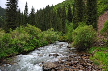 Turgen Nehri, Almaty yakınlarındaki dağlık bir bölgede toprak boyunca akar.