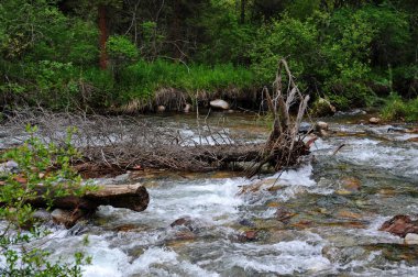 Turgen Nehri, Almaty yakınlarındaki dağlık bir bölgede toprak boyunca akar.