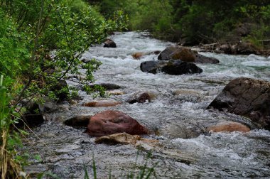 Turgen Nehri, Almaty yakınlarındaki dağlık bir bölgede toprak boyunca akar.