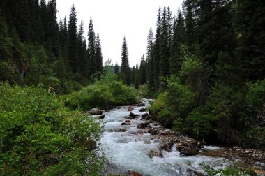 Turgen Nehri, Almaty yakınlarındaki dağlık bir bölgede toprak boyunca akar.