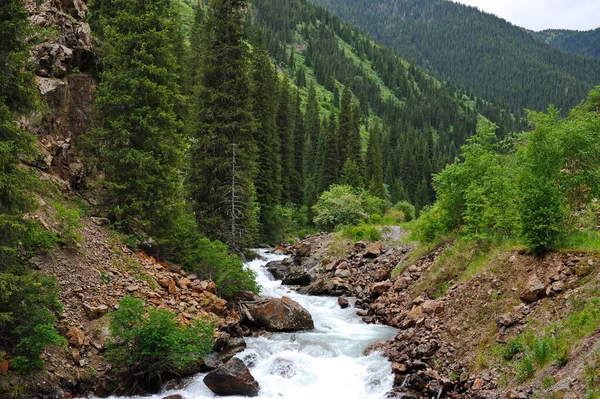 Turgen Nehri, Almaty yakınlarındaki dağlık bir bölgede toprak boyunca akar.