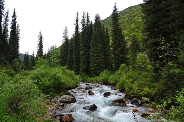 Turgen Nehri Almaty Yakınlarındaki Dağlık Bir Bölgede Toprak Boyunca Akar — Stok fotoğraf