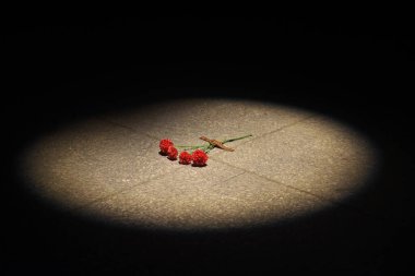 Sivastopol, Kırım - 10.15.2015: Bir fenerin ışığında yerde Aziz George kurdelesiyle dört anma karanfili.