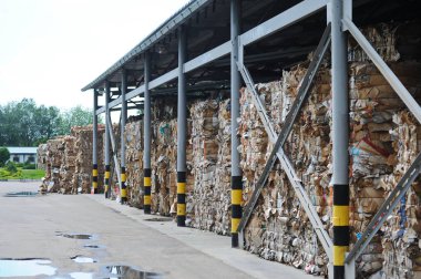 Almaty, Kazakistan - 07.01.2016: Karton fabrikasının bölgesinde bir yığın çöp ve atık kağıt.