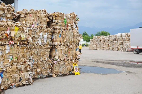 哈萨克斯坦阿拉木图 2016年1月7日 在一家纸板厂境内堆放垃圾和废纸 — 图库照片