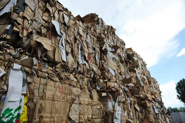 Almaty Kazajstán 2016 Una Pila Basura Papel Usado Territorio Una — Foto de Stock