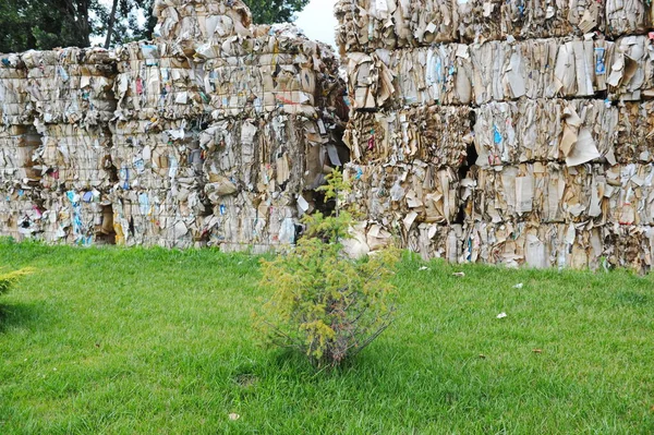 Almaty Cazaquistão 2016 Uma Pilha Lixo Resíduos Papel Território Uma — Fotografia de Stock