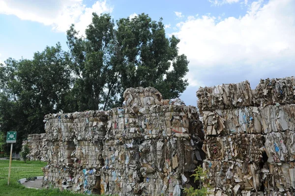 Almaty Cazaquistão 2016 Uma Pilha Lixo Resíduos Papel Território Uma — Fotografia de Stock
