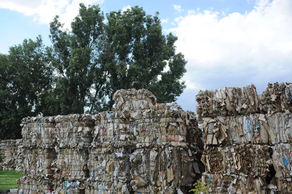 Almaty Cazaquistão 2016 Uma Pilha Lixo Resíduos Papel Território Uma — Fotografia de Stock