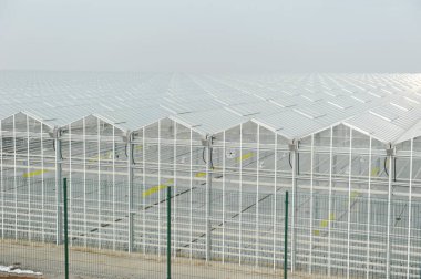 Seraların düzenlenmesi için inşaat