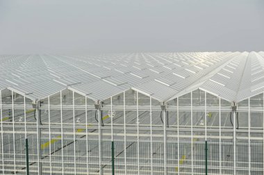 Seraların düzenlenmesi için inşaat