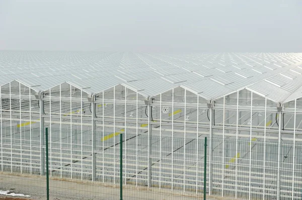 Construction Arrangement Greenhouses — Stock Photo, Image