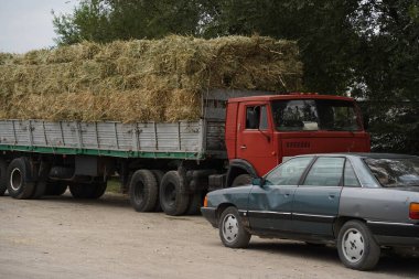 Almaty, Kazakistan - 08.03.2021: Tarlalarda toplanan samanları kamyonlar dağıtıyor
