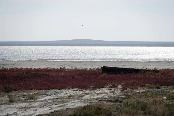 Bateaux Abandonnés Sur Territoire Mer Aral Assèchement — Photo