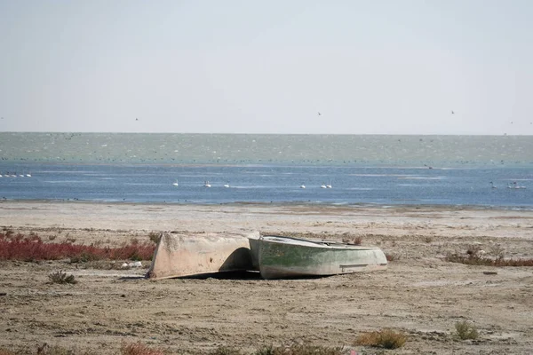 Barcos Abandonados Territorio Del Mar Aral Que Seca — Foto de Stock