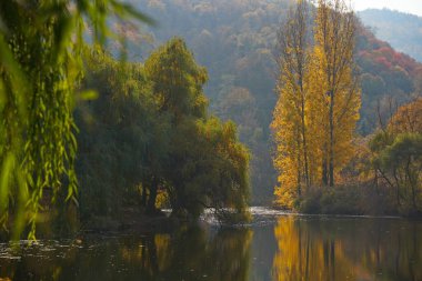 Asker Gölü. Dağlık bir alanda farklı bitki örtüleri olan bir göl. Parlak sulu sonbahar yaprakları, yapraklar dökülüyor ve suya yansıyor.