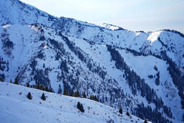 Medeo. Farklı bitki örtüleri ve köknar ağaçları olan bir dağ geçidi. İlk kar.
