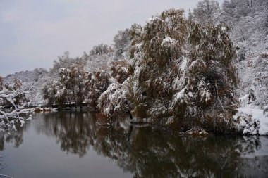 Asker Gölü. Ağaçların dalları ilk karla kaplıdır. Dağlık bir alanda çeşitli bitkilerle dolu bir göl. Kasım.