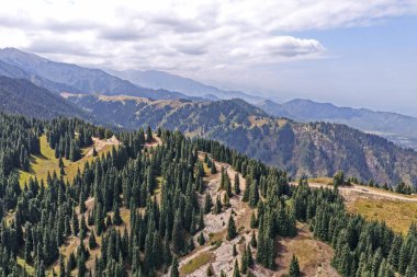 Oi-Karagai Geçidi. Farklı bitki örtüsü olan dağlık bir bölge. Ile-Alatau Milli Parkı.