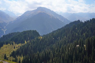 Oi-Karagai Geçidi. Farklı bitki örtüsü olan dağlık bir bölge. Ile-Alatau Milli Parkı.