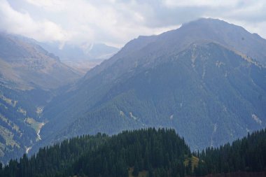 Oi-Karagai Geçidi. Farklı bitki örtüsü olan dağlık bir bölge. Ile-Alatau Milli Parkı.