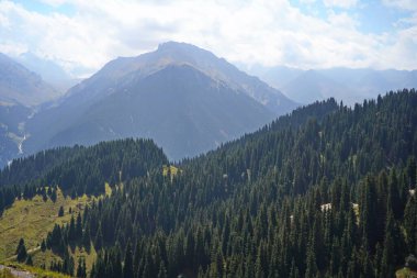 Oi-Karagai Geçidi. Farklı bitki örtüsü olan dağlık bir bölge. Ile-Alatau Milli Parkı.