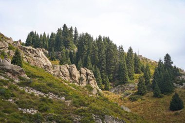 Oi-Karagai Geçidi. Farklı bitki örtüsü olan dağlık bir bölge. Ile-Alatau Milli Parkı.